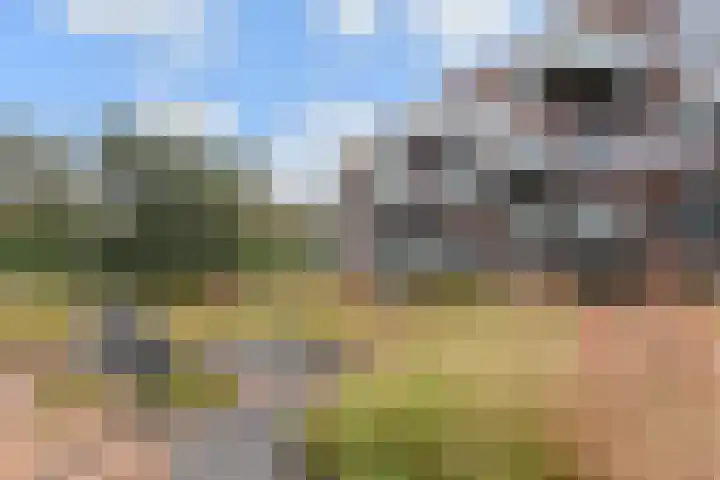 Laan van Meerdervoort 84 44 Den Haag thumbnail 63