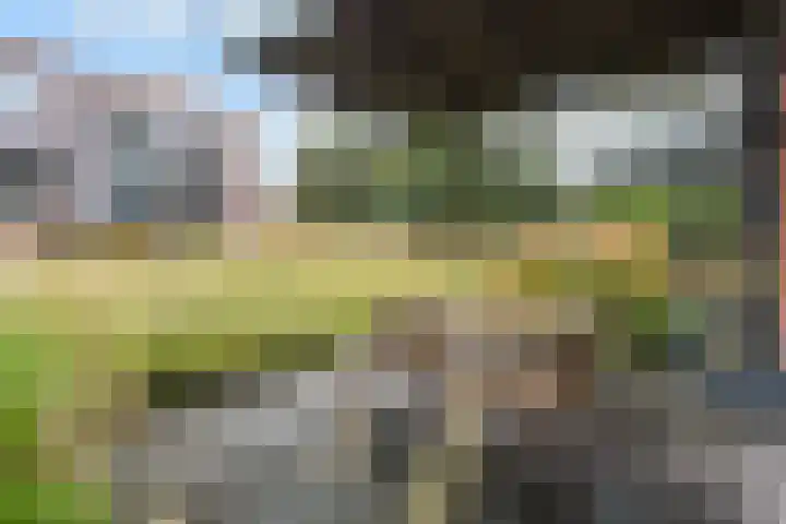 Laan van Meerdervoort 84 44 Den Haag thumbnail 8