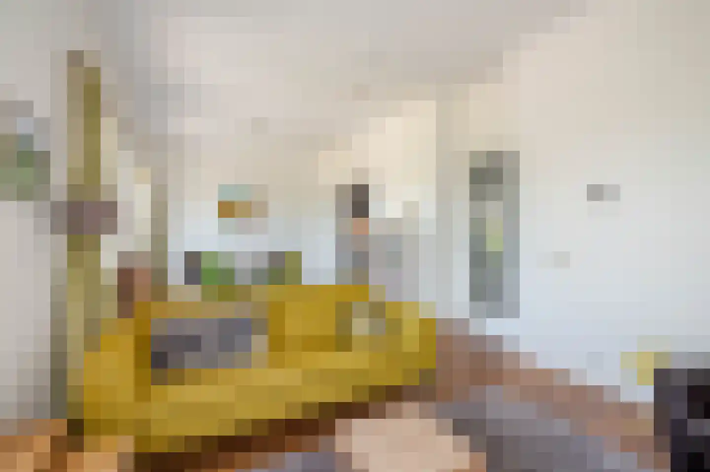 Laan van Meerdervoort 84 5 Den Haag thumbnail 26