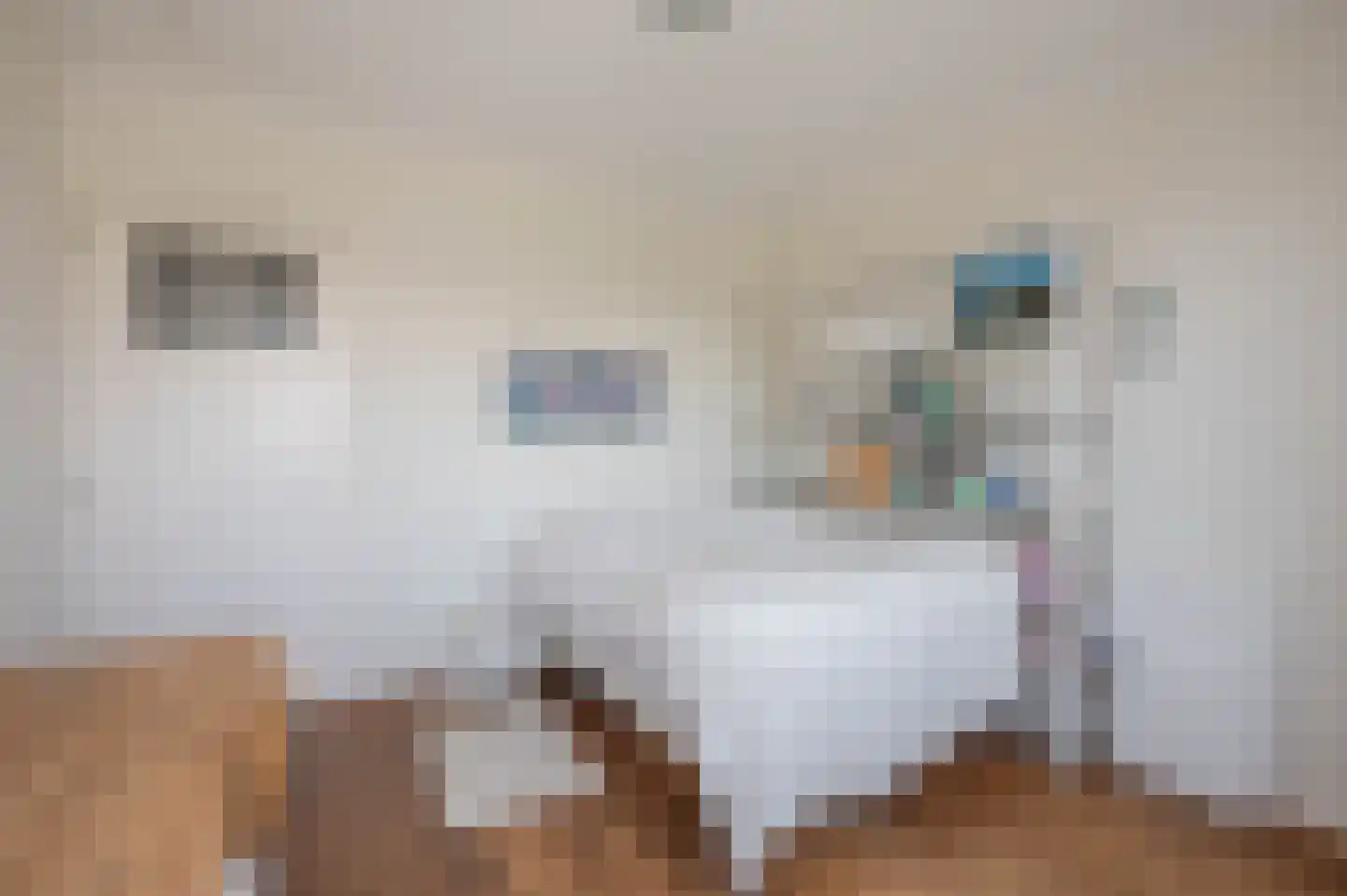 Laan van Meerdervoort 84 5 Den Haag thumbnail 35