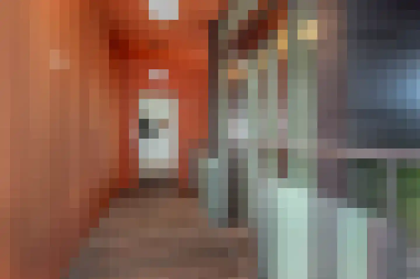 Laan van Meerdervoort 84 5 Den Haag thumbnail 8