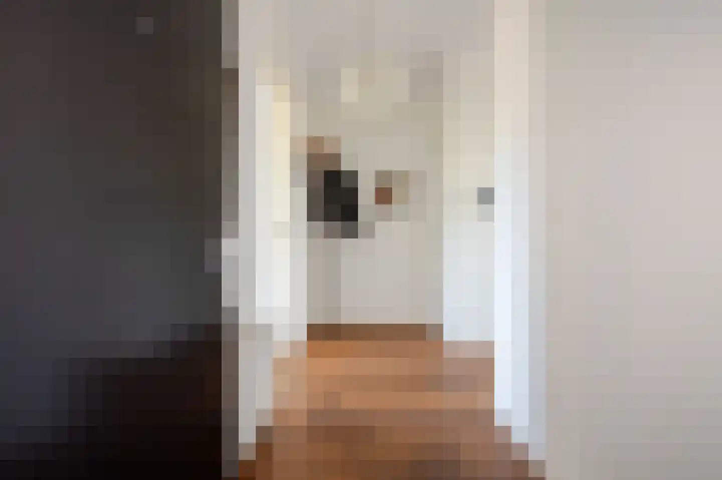Laan van Meerdervoort 84 5 Den Haag thumbnail 9