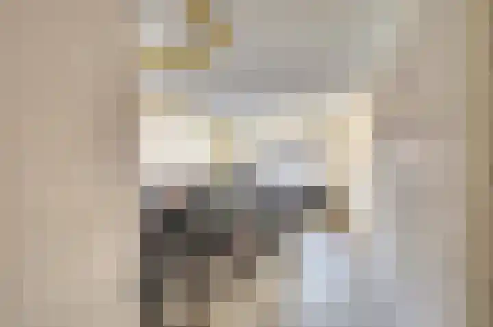 Laan van Meerdervoort 84 8 Den Haag thumbnail 37