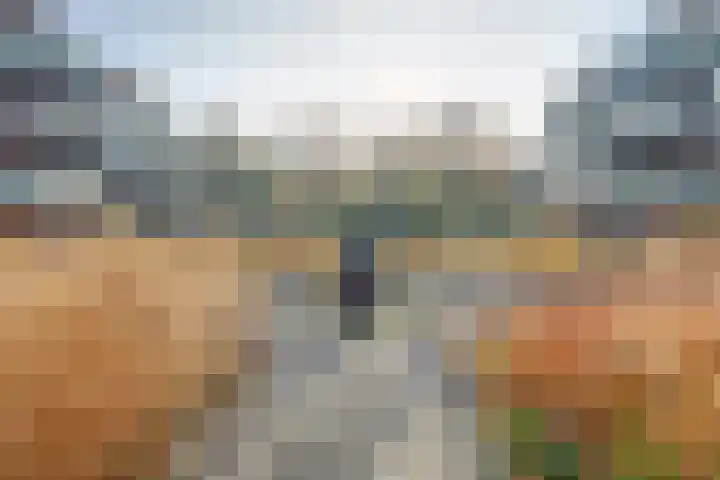 Laan van Meerdervoort 84 8 Den Haag thumbnail 39