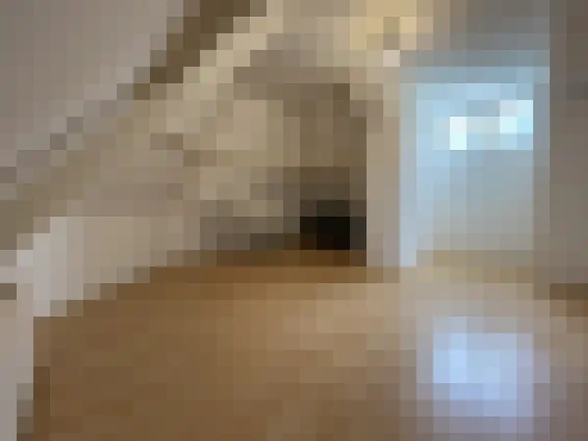 Laan van Meerdervoort 85 Den Haag thumbnail 6