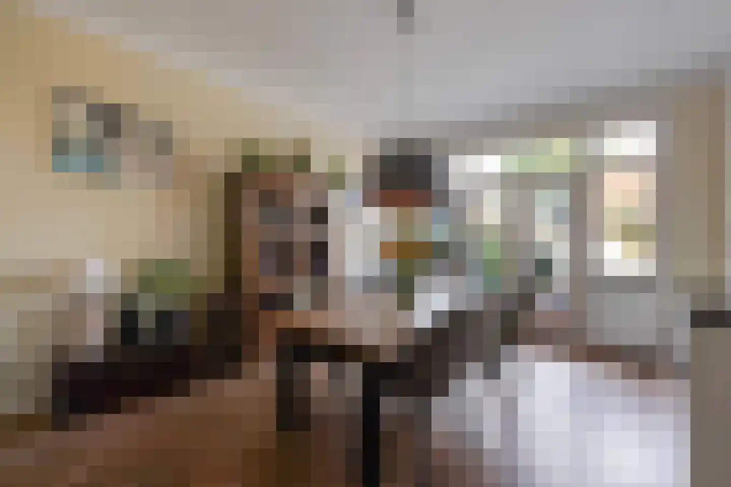 Laan van Meerdervoort 863 Den Haag thumbnail 14