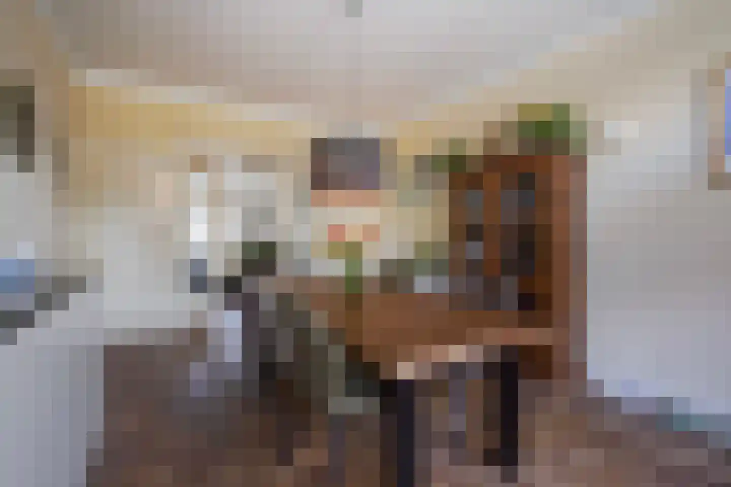 Laan van Meerdervoort 863 Den Haag thumbnail 15