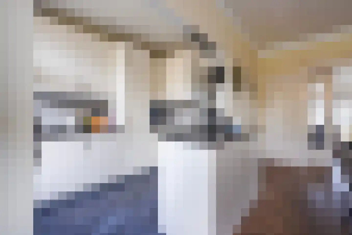Laan van Meerdervoort 863 Den Haag thumbnail 17