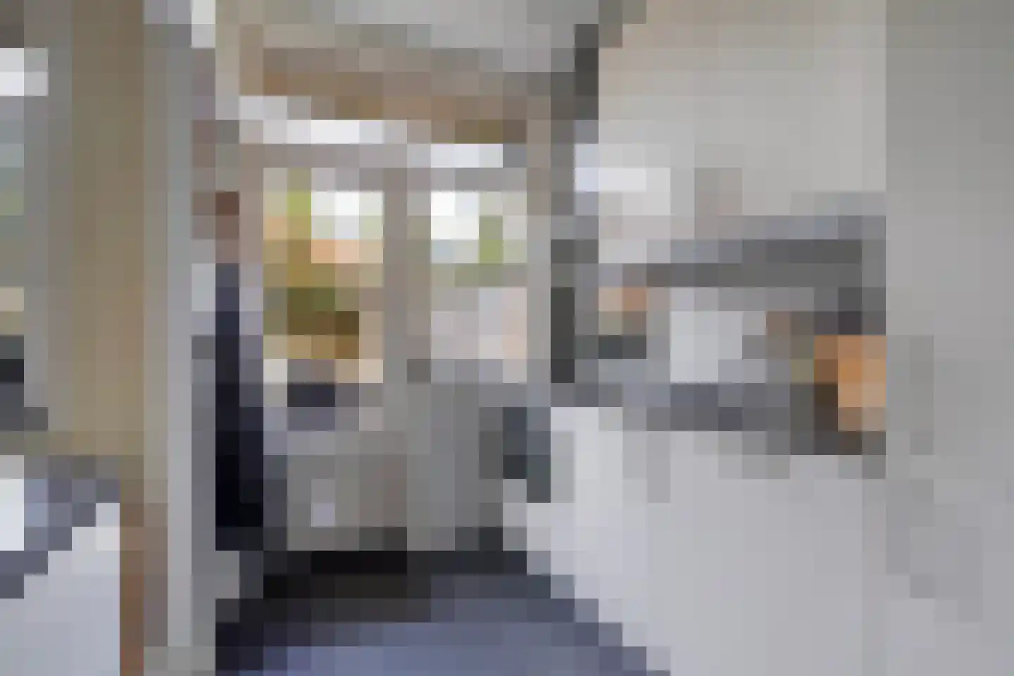 Laan van Meerdervoort 863 Den Haag thumbnail 19