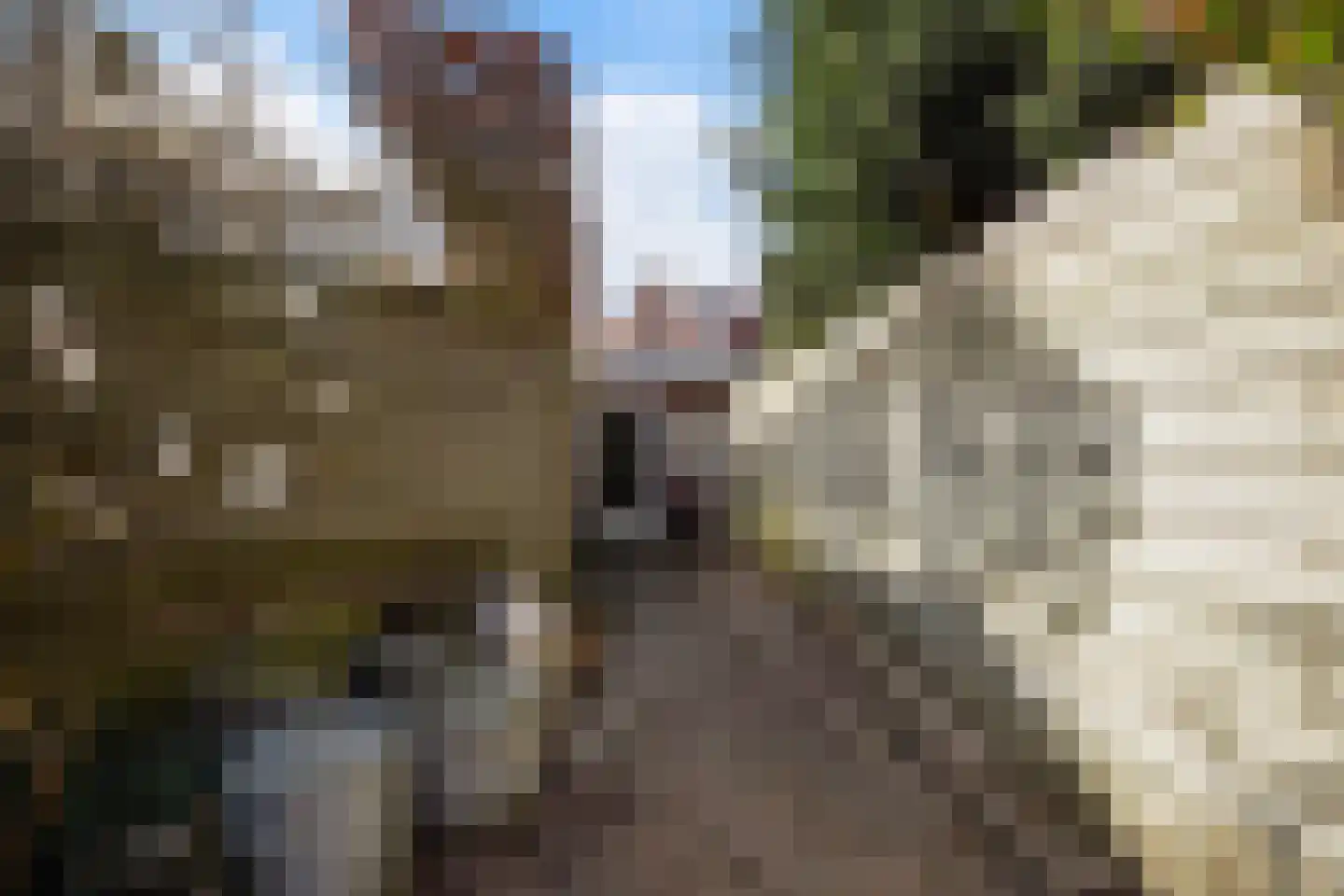Laan van Meerdervoort 863 Den Haag thumbnail 23