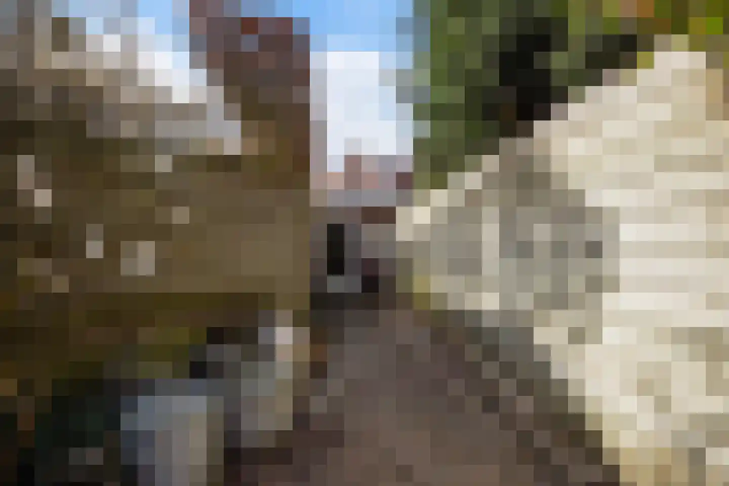 Laan van Meerdervoort 863 Den Haag thumbnail 23