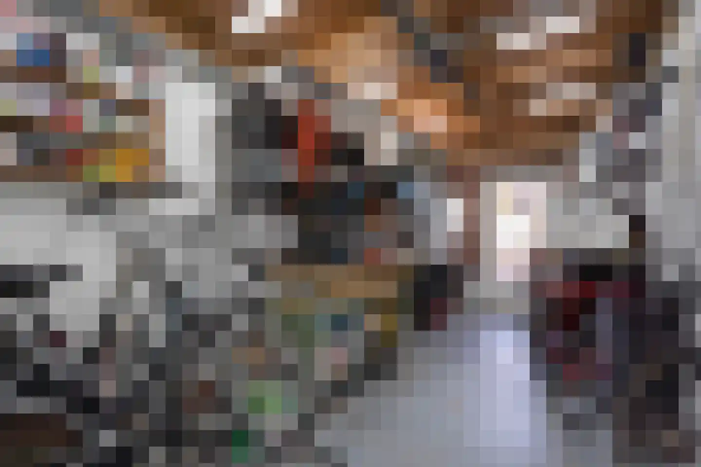 Laan van Meerdervoort 863 Den Haag thumbnail 25