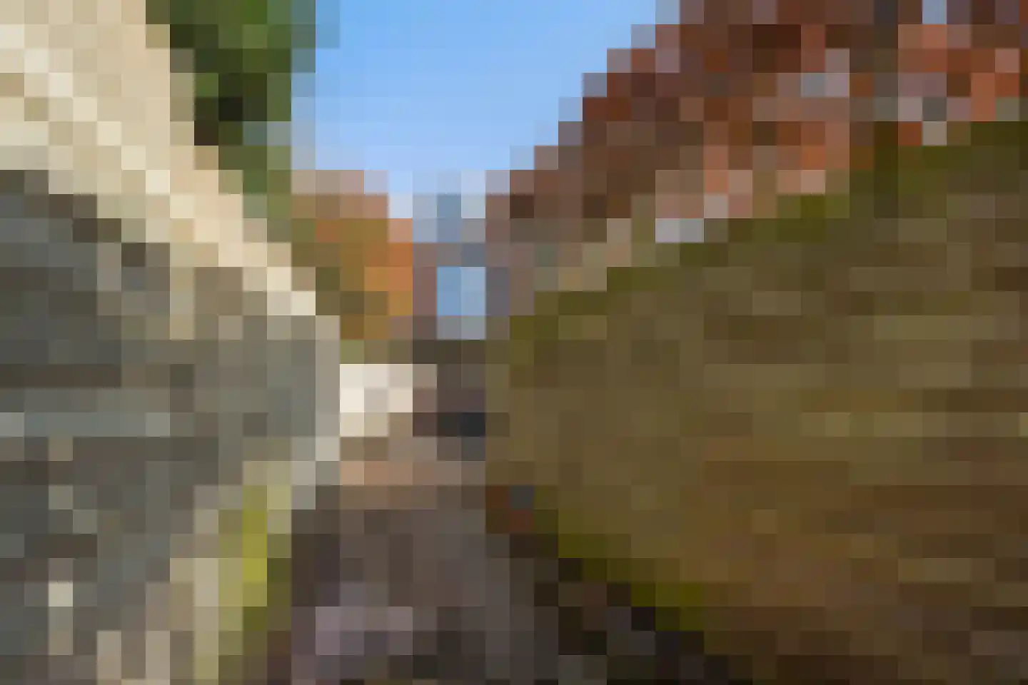 Laan van Meerdervoort 863 Den Haag thumbnail 29