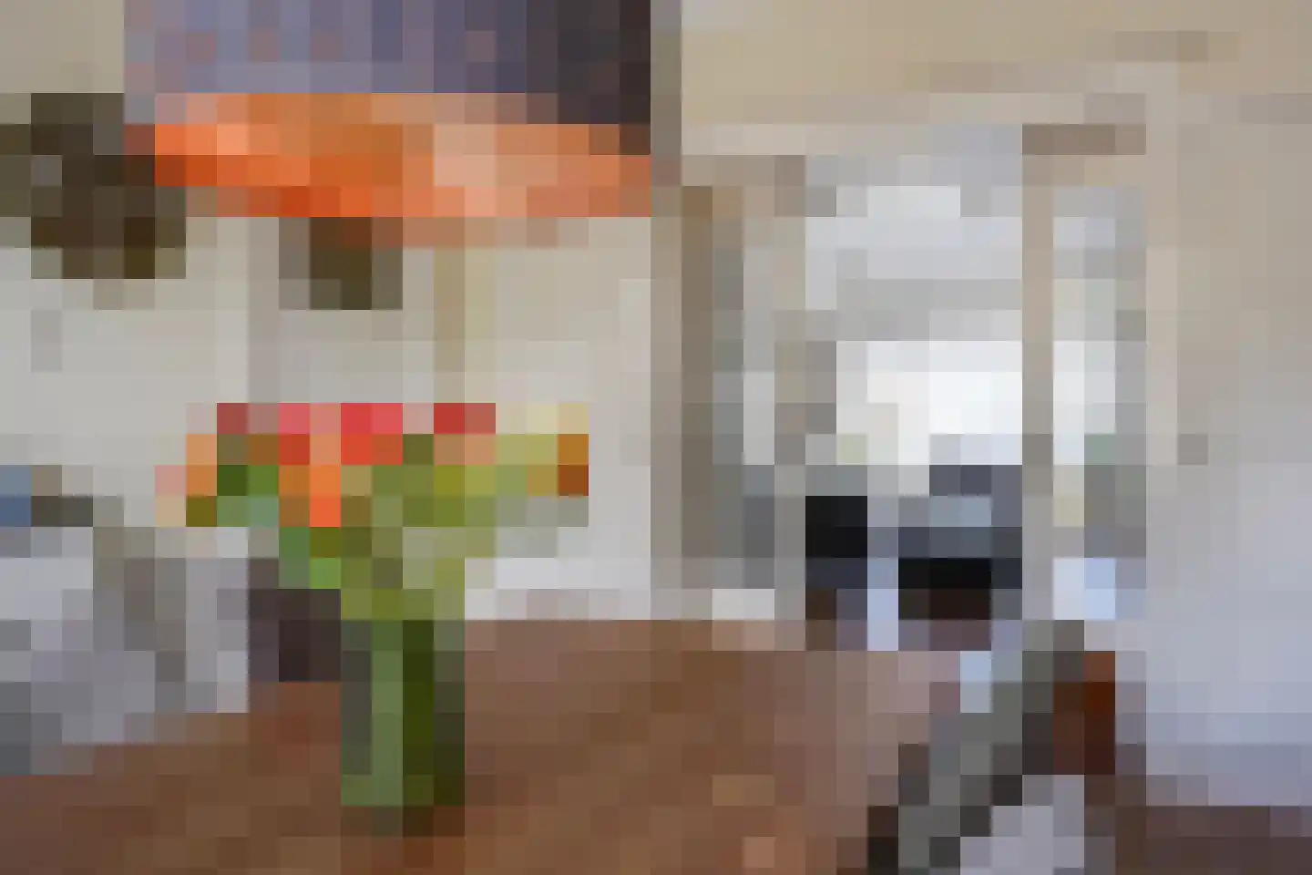 Laan van Meerdervoort 863 Den Haag thumbnail 32