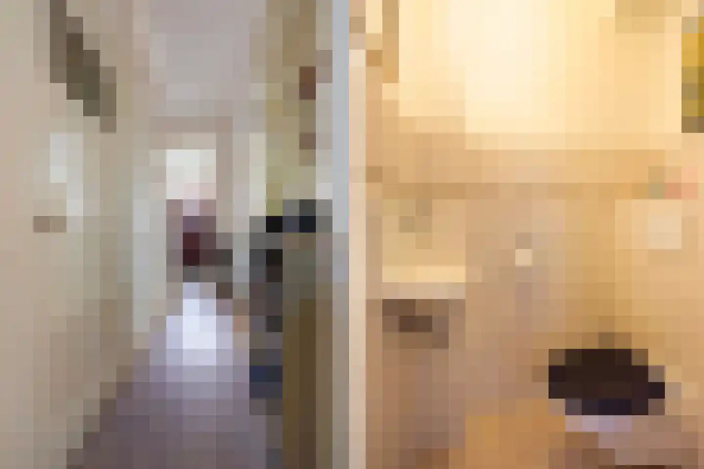 Laan van Meerdervoort 863 Den Haag thumbnail 33