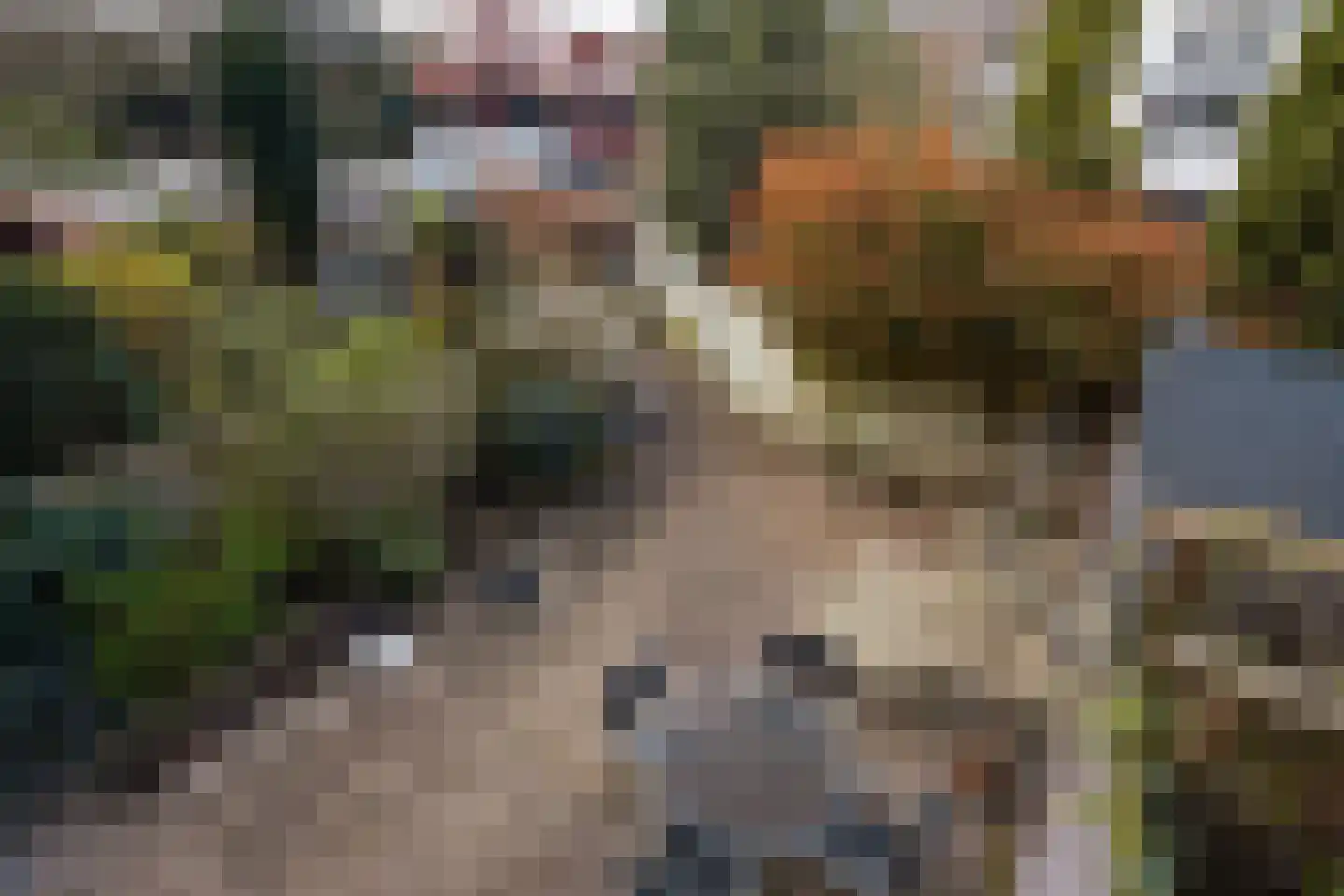 Laan van Meerdervoort 863 Den Haag thumbnail 41