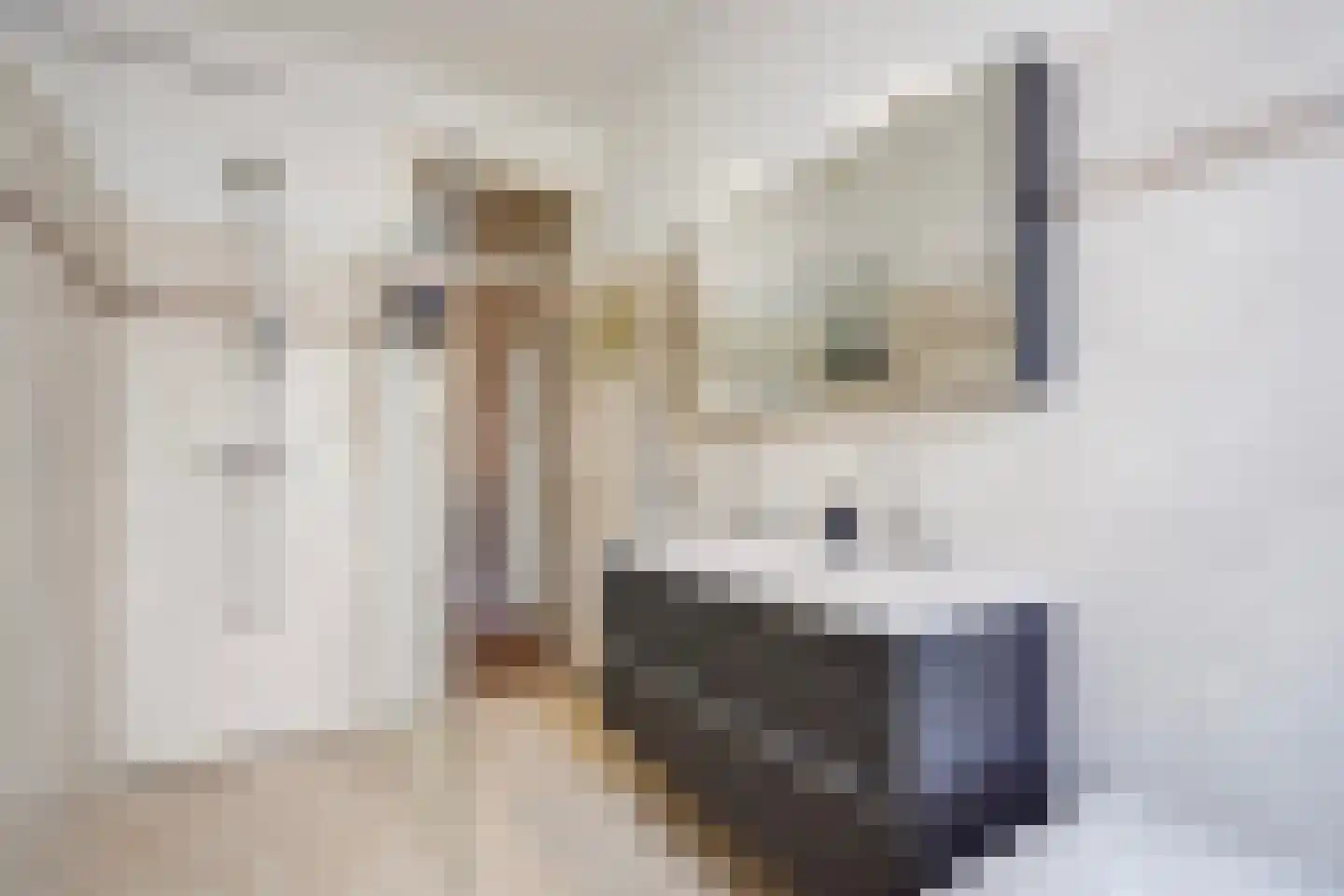 Laan van Meerdervoort 863 Den Haag thumbnail 44