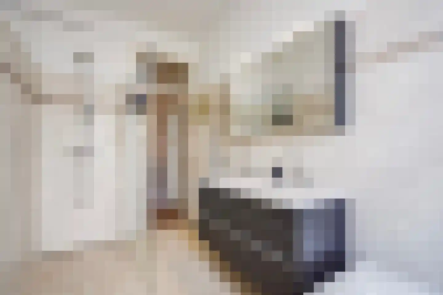 Laan van Meerdervoort 863 Den Haag thumbnail 44