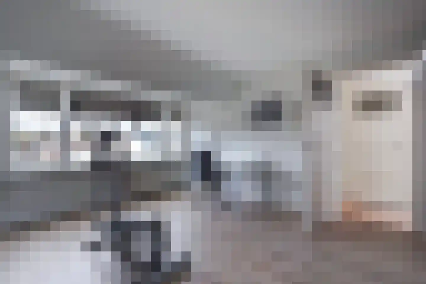 Laan van Meerdervoort 863 Den Haag thumbnail 45