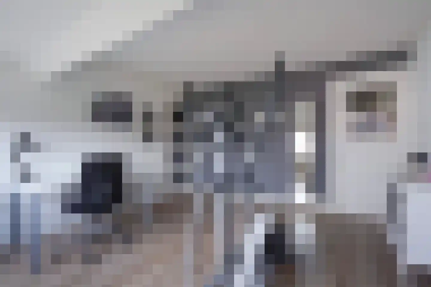 Laan van Meerdervoort 863 Den Haag thumbnail 47
