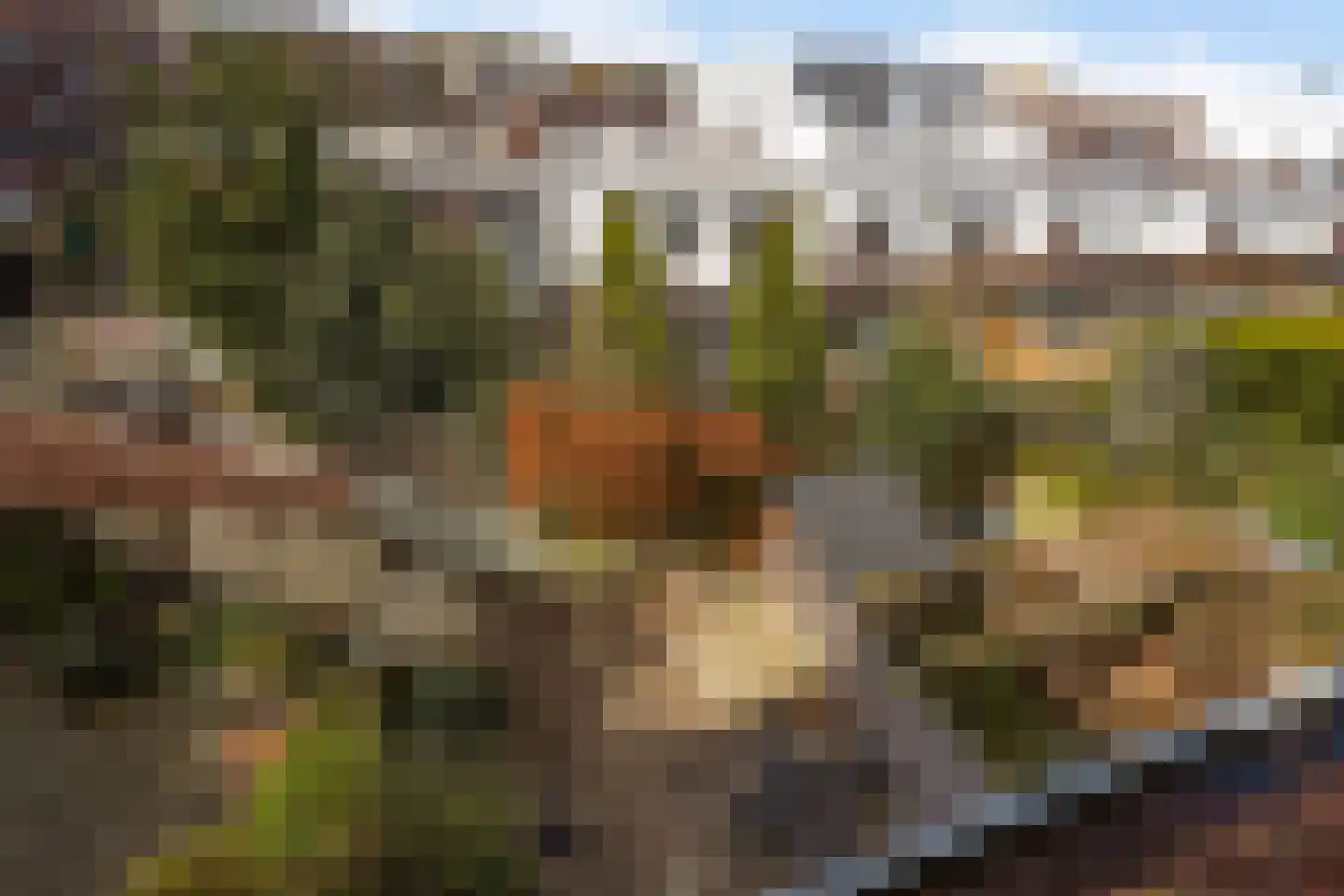 Laan van Meerdervoort 863 Den Haag thumbnail 48