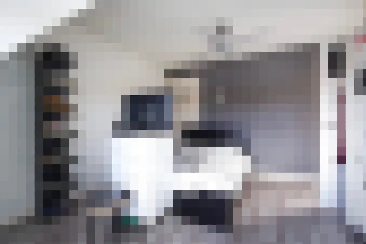 Laan van Meerdervoort 863 Den Haag thumbnail 63