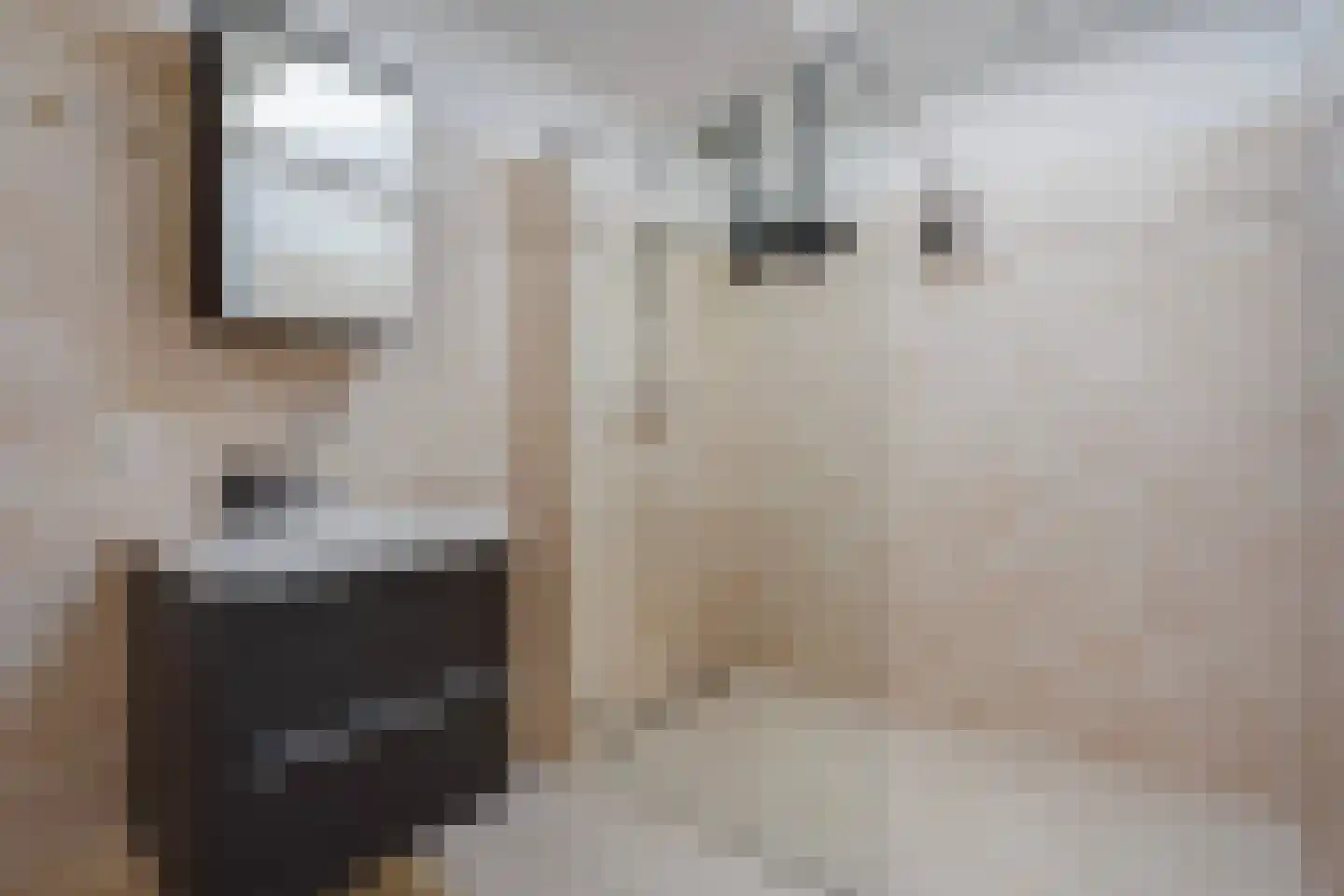 Laan van Meerdervoort 863 Den Haag thumbnail 64