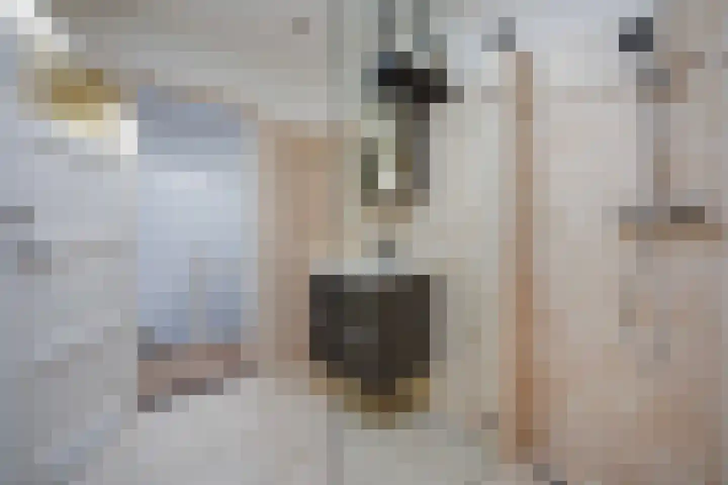 Laan van Meerdervoort 863 Den Haag thumbnail 65