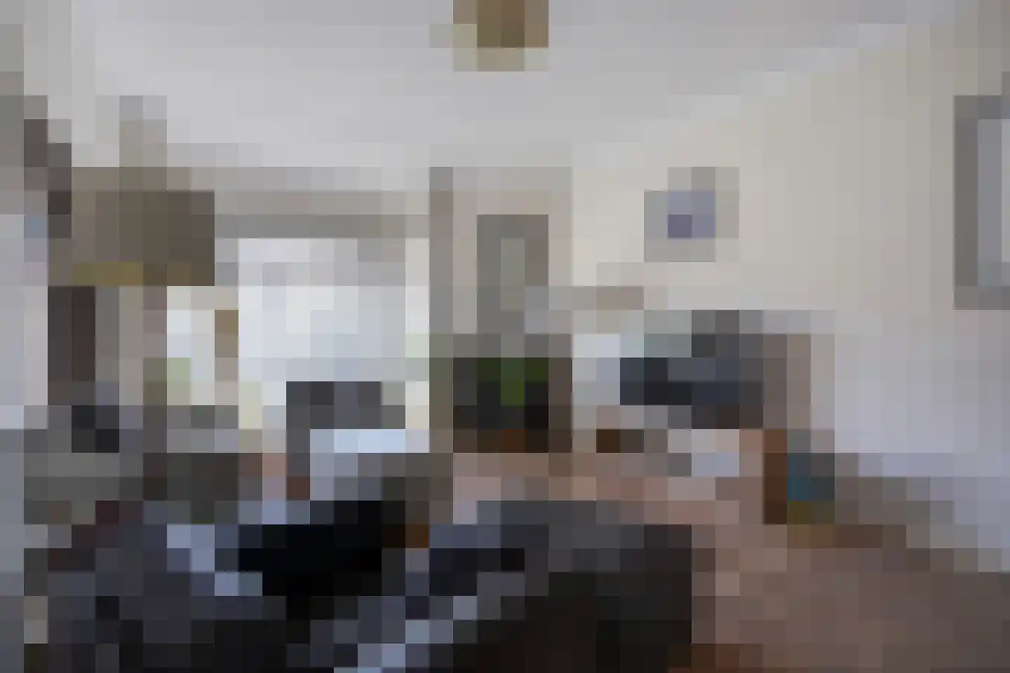 Laan van Meerdervoort 863 Den Haag thumbnail 8