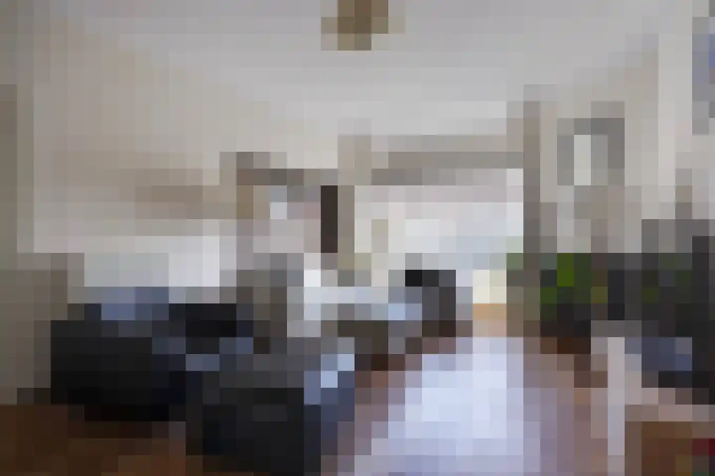 Laan van Meerdervoort 863 Den Haag thumbnail 9