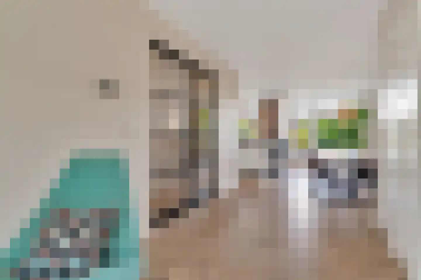 Laan van Meerdervoort 904 Den Haag thumbnail 18
