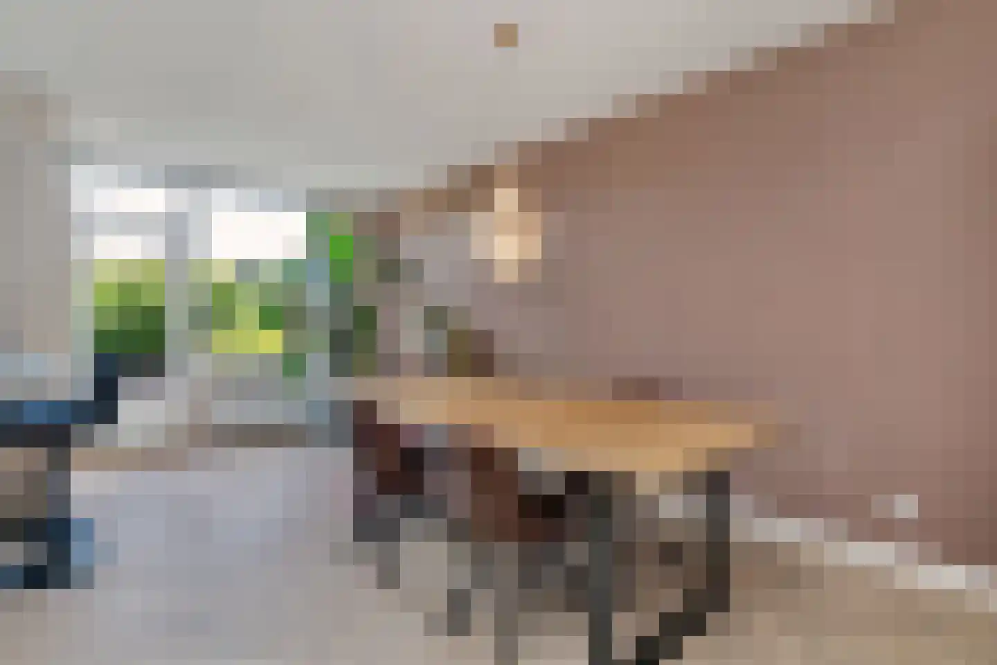 Laan van Meerdervoort 904 Den Haag thumbnail 20