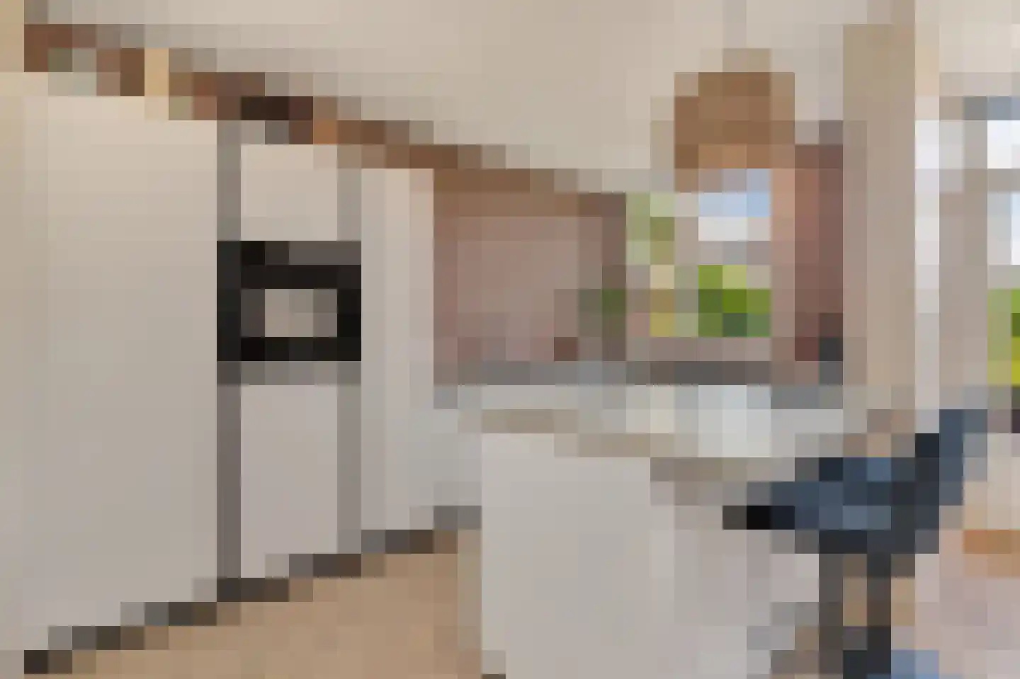 Laan van Meerdervoort 904 Den Haag thumbnail 22