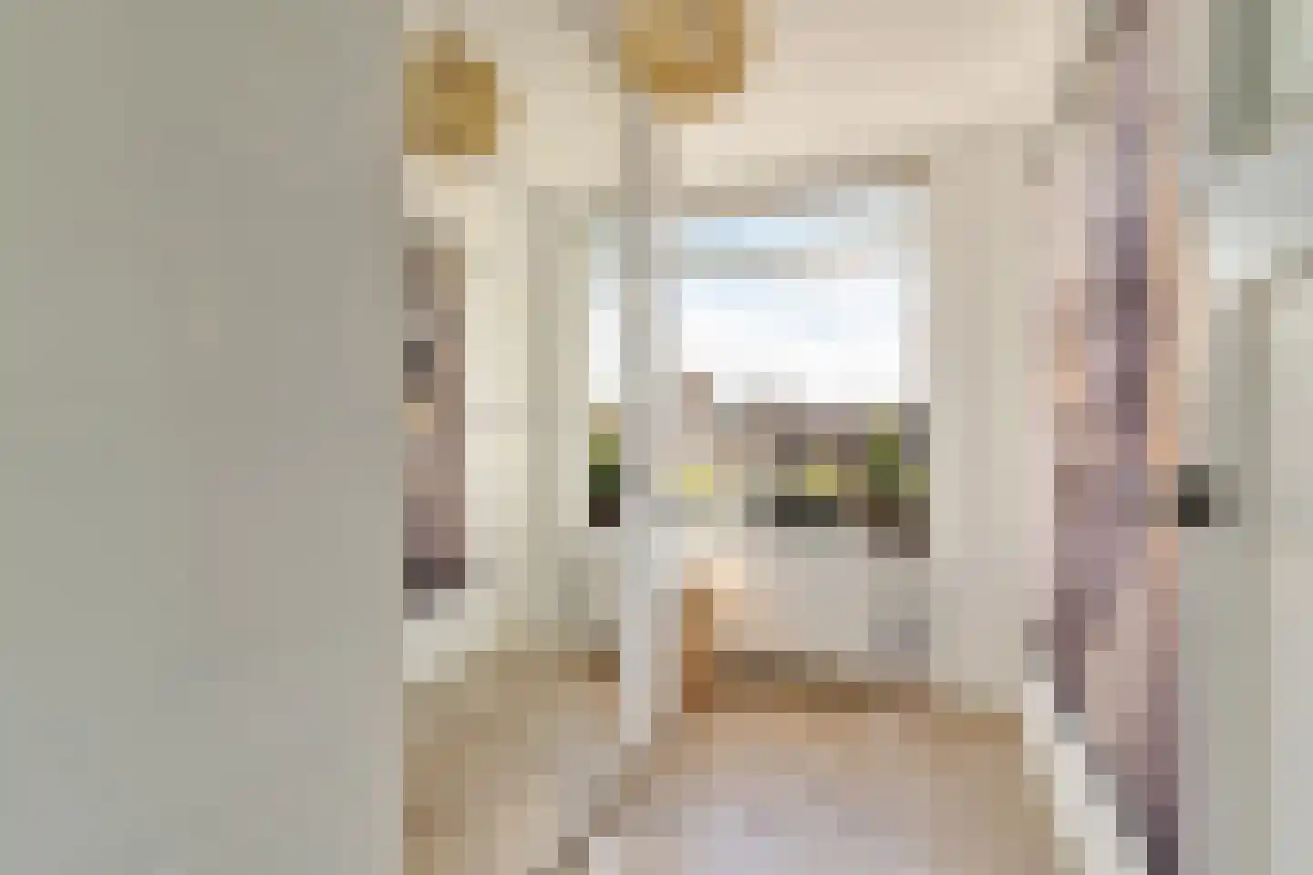 Laan van Meerdervoort 904 Den Haag thumbnail 38