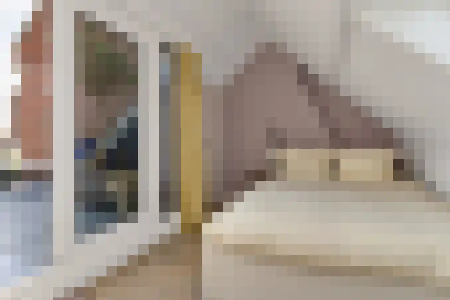 Laan van Meerdervoort 904 Den Haag thumbnail 40
