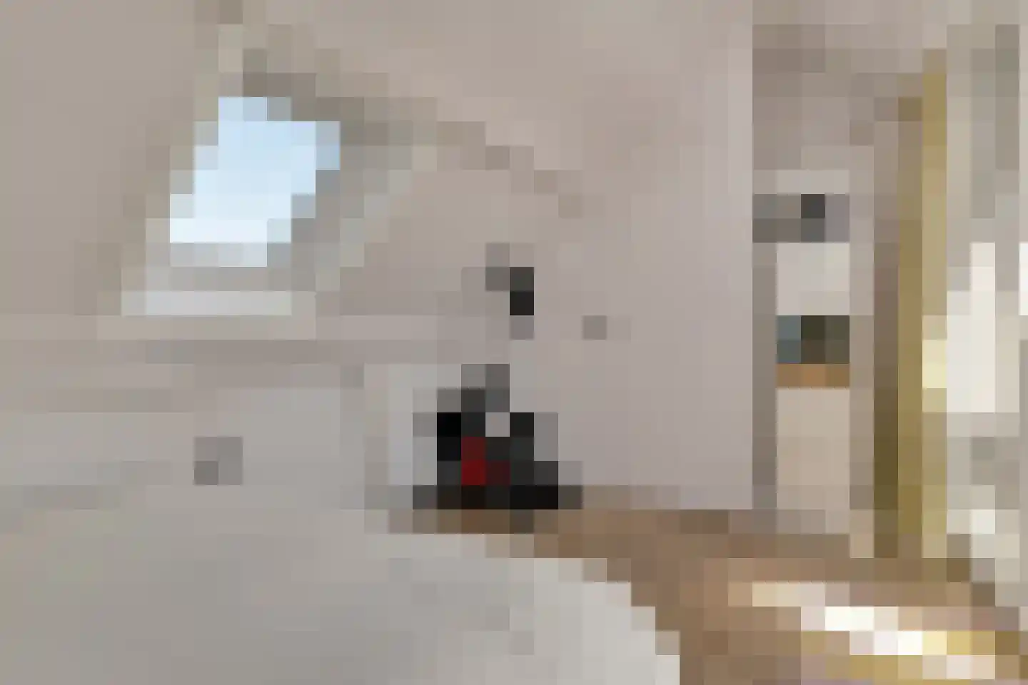 Laan van Meerdervoort 904 Den Haag thumbnail 42