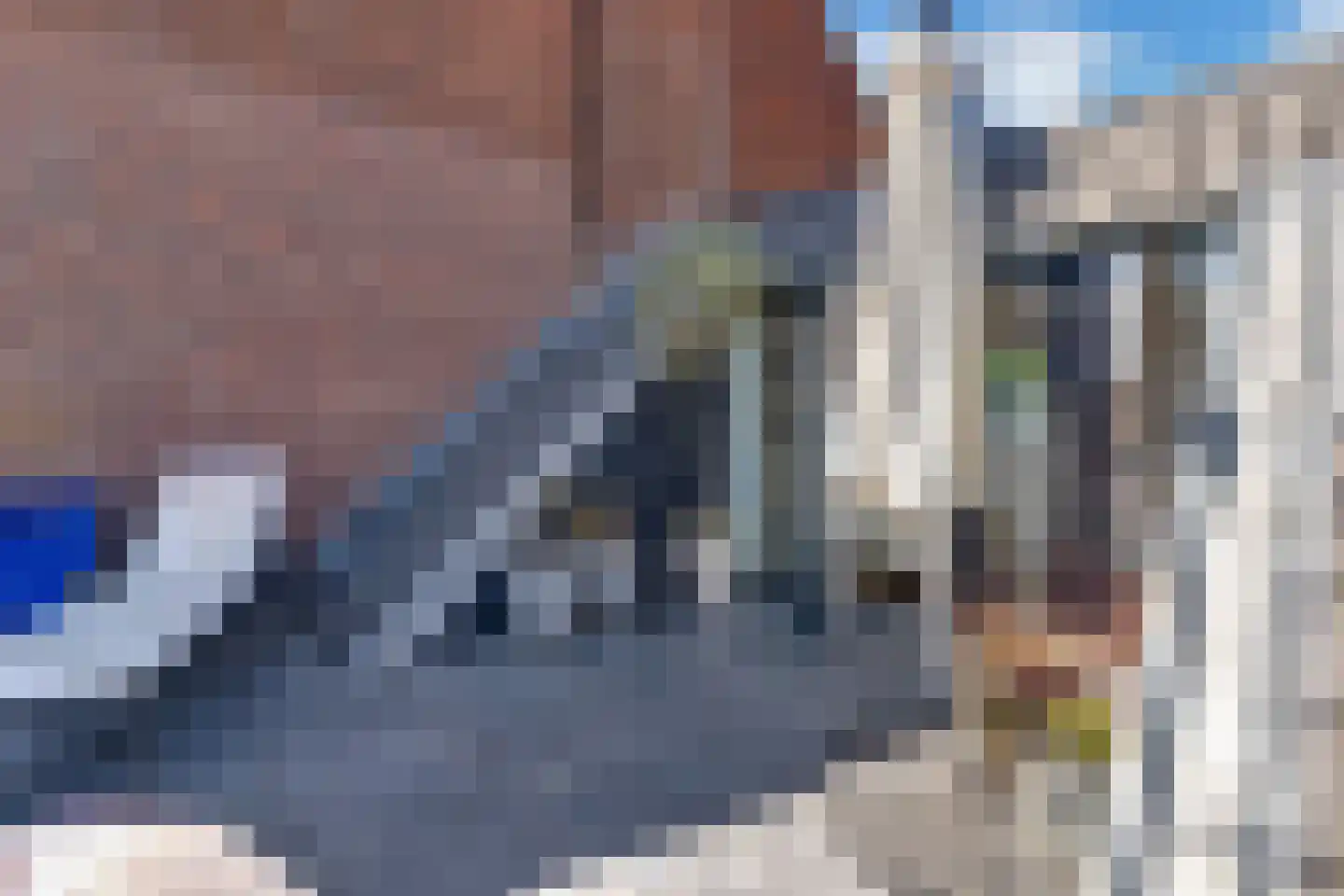 Laan van Meerdervoort 904 Den Haag thumbnail 46
