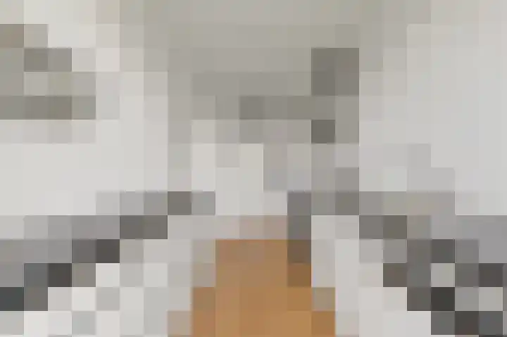 Laan van Meerdervoort 936 Den Haag thumbnail 13
