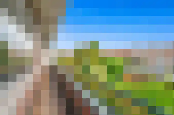 Laan van Meerdervoort 936 Den Haag thumbnail 16