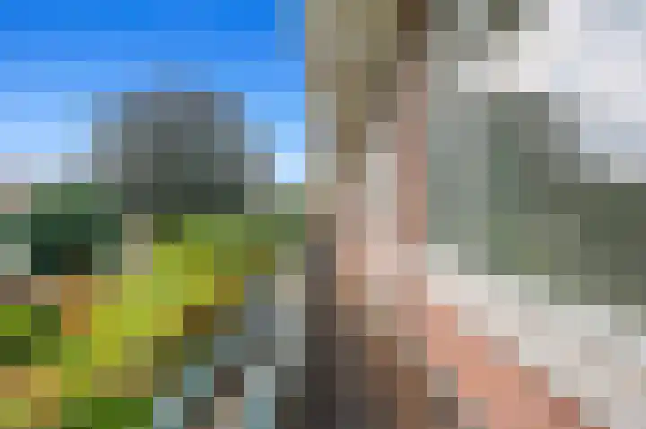 Laan van Meerdervoort 936 Den Haag thumbnail 17
