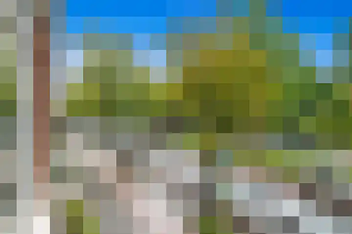 Laan van Meerdervoort 936 Den Haag thumbnail 28