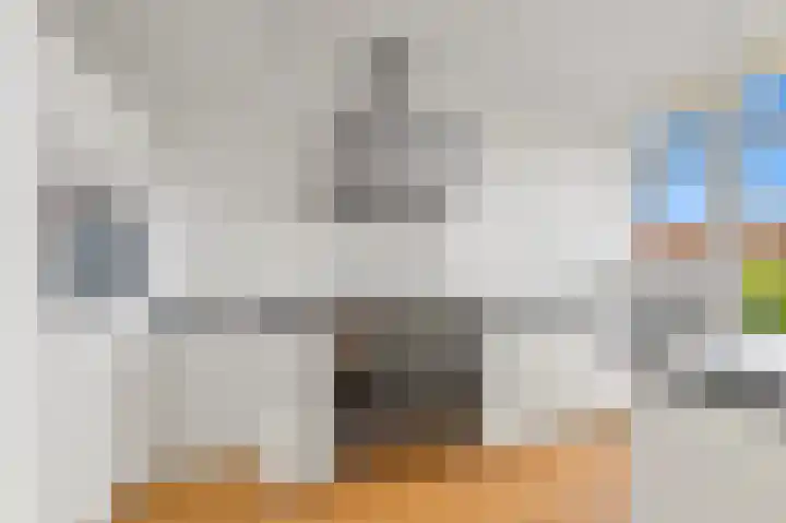 Laan van Meerdervoort 936 Den Haag thumbnail 4