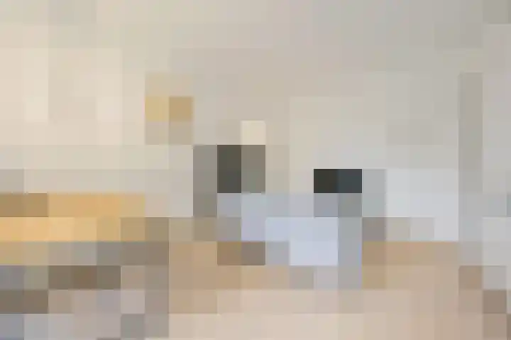 Laan van Meerdervoort 94 18 Den Haag thumbnail 4