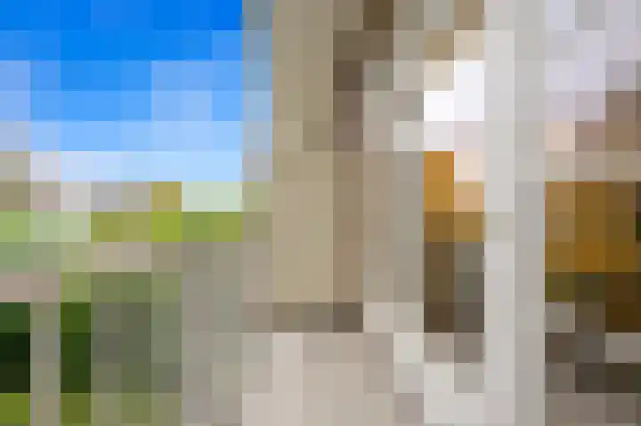 Laan van Meerdervoort 94 18 Den Haag thumbnail 6