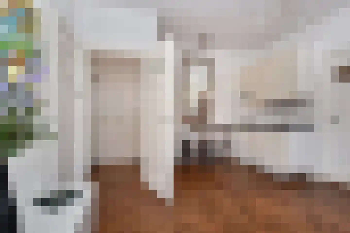 Laan van Meerdervoort 94 19 Den Haag thumbnail 12