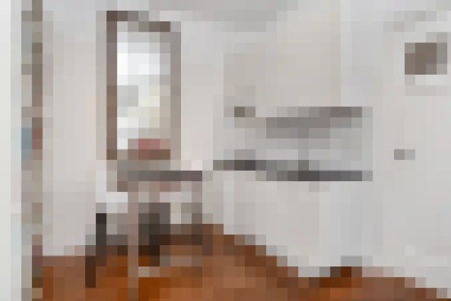 Laan van Meerdervoort 94 19 Den Haag thumbnail 13