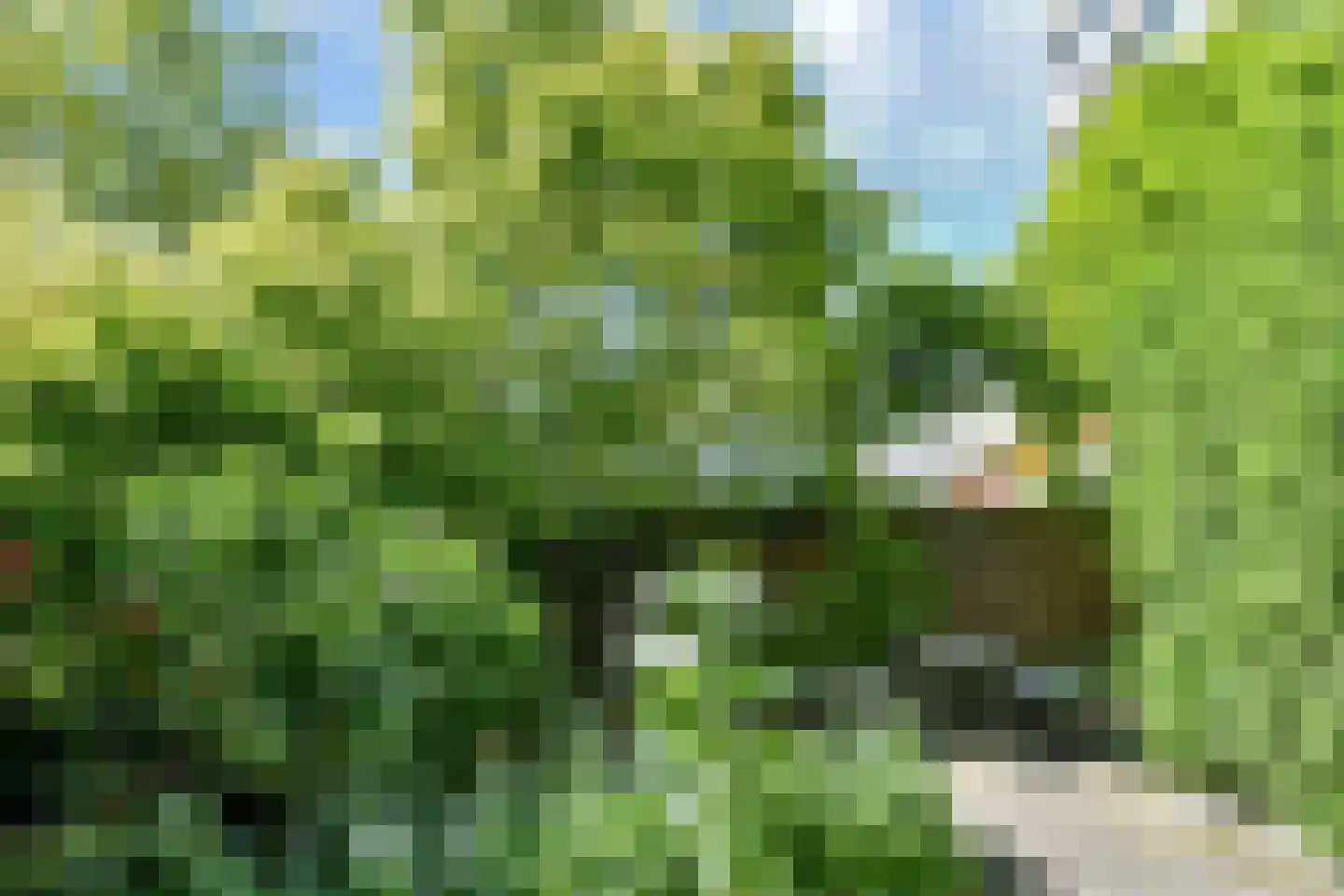 Laan van Meerdervoort 94 19 Den Haag thumbnail 18