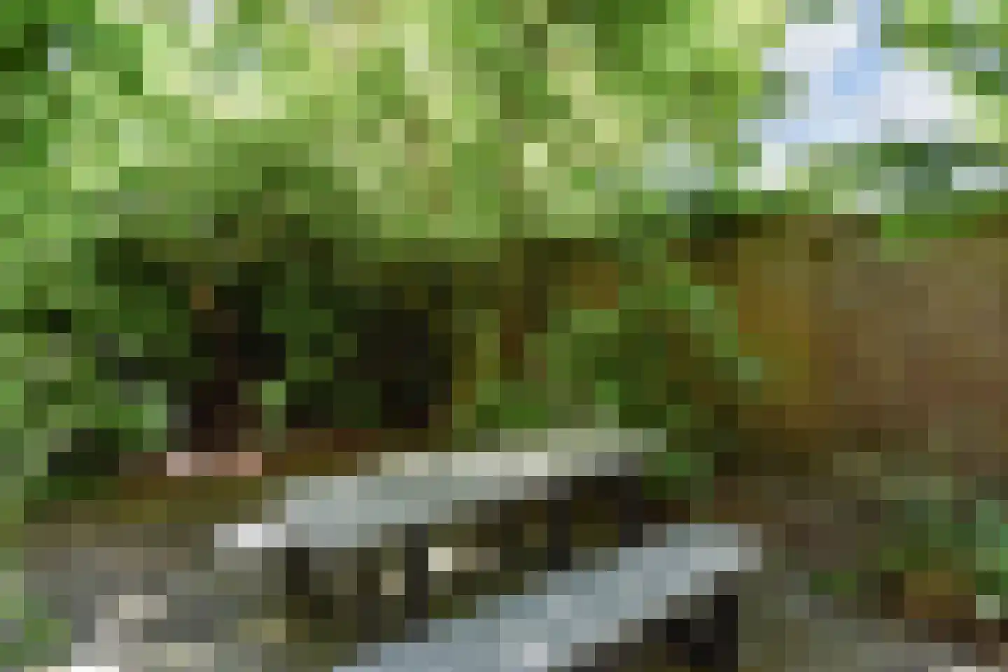Laan van Meerdervoort 94 19 Den Haag thumbnail 19
