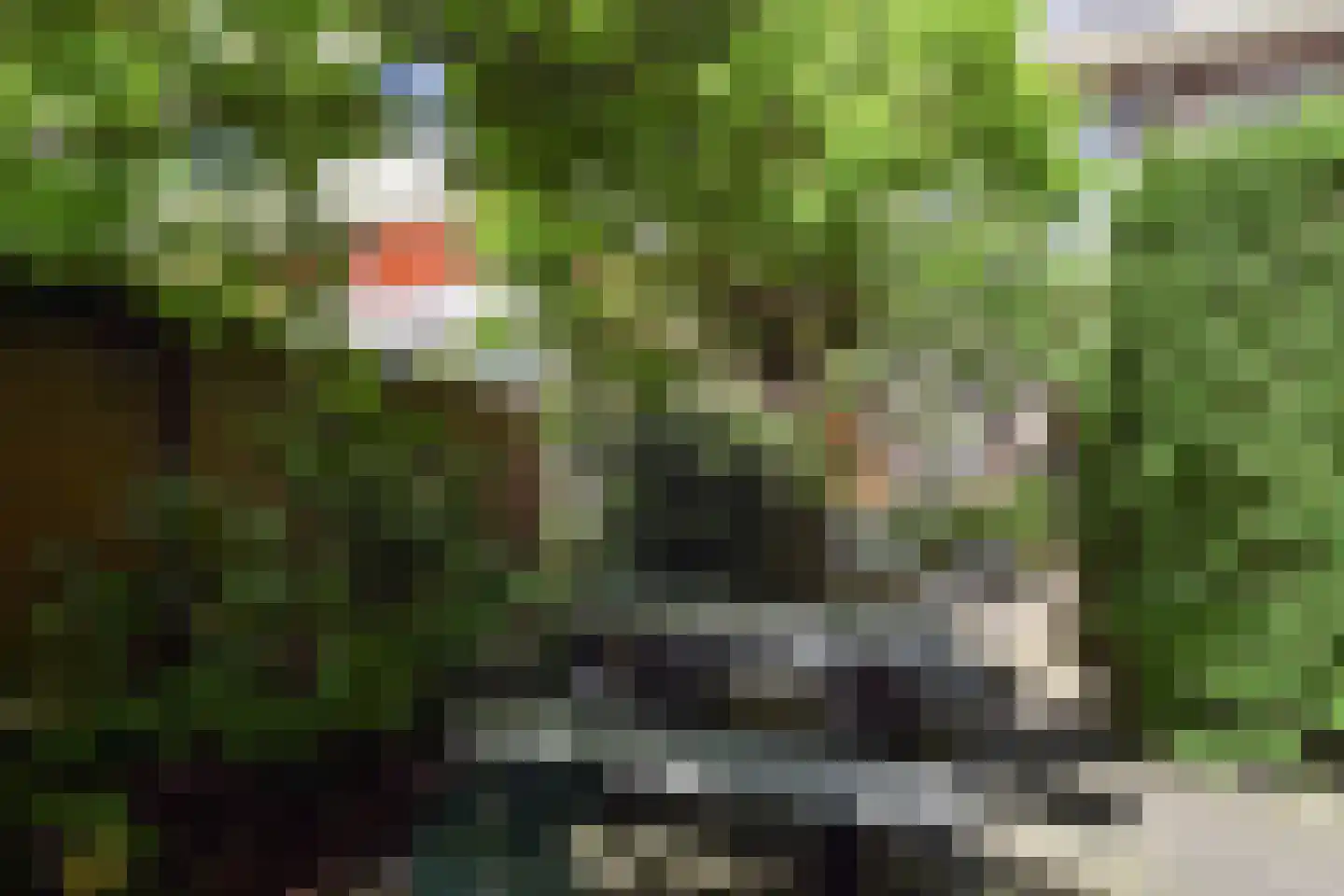 Laan van Meerdervoort 94 19 Den Haag thumbnail 20