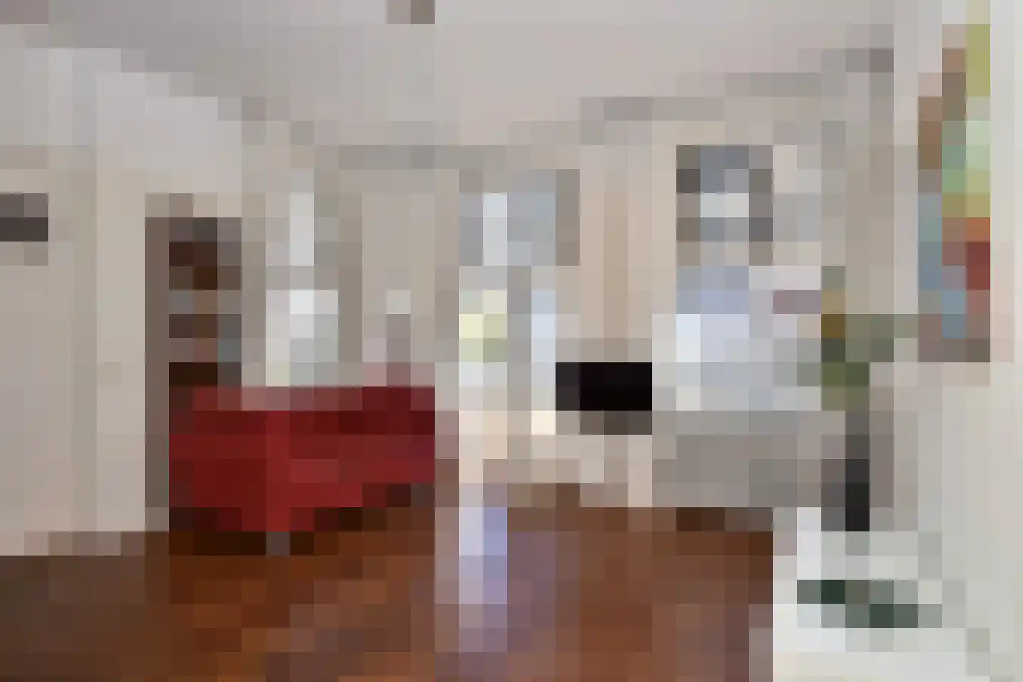 Laan van Meerdervoort 94 19 Den Haag thumbnail 7